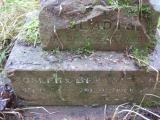 image of grave number 443881